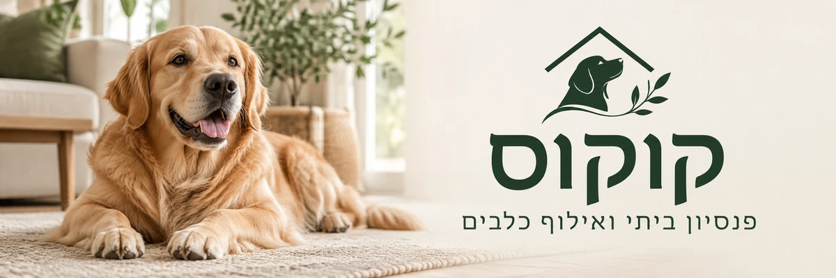 קוקוס - פנסיון ביתי ואילוף כלבים