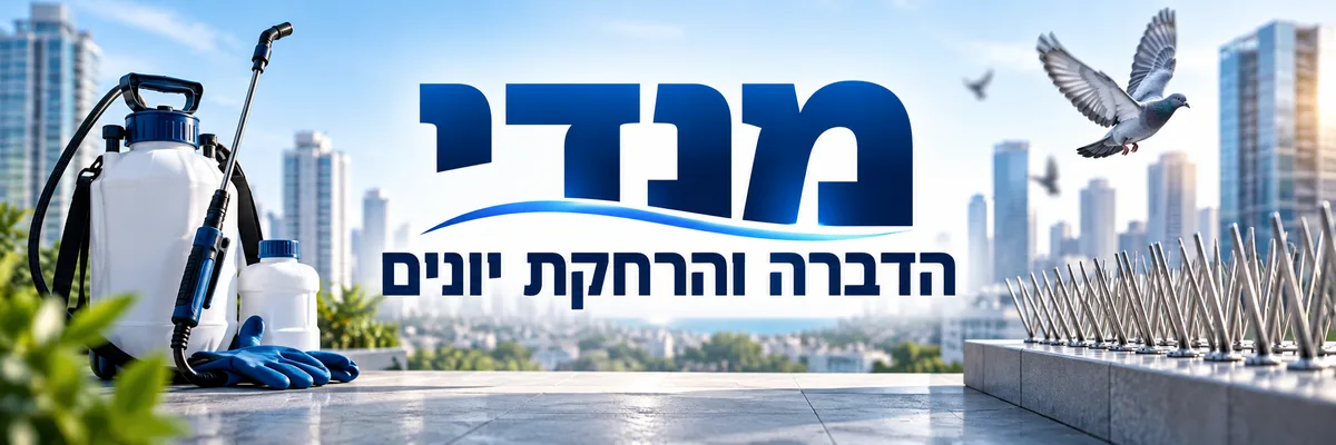 מנדי